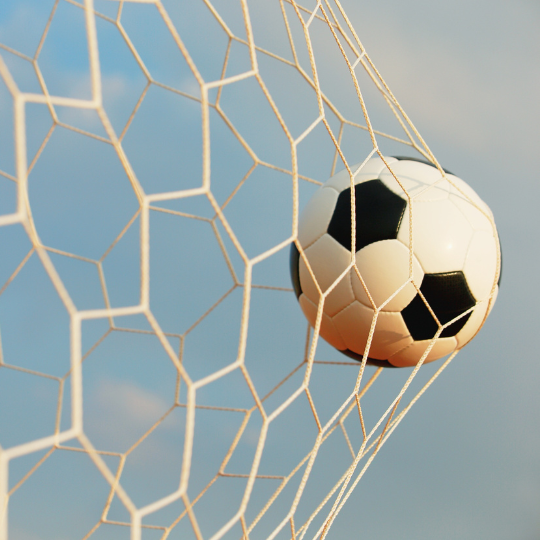 Online-Wahl Fußballverein