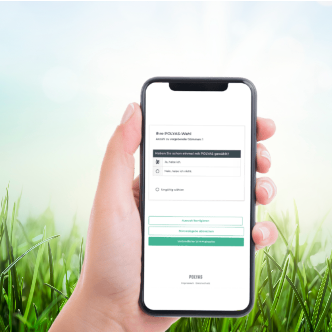 Online-Wahl Fußballverein